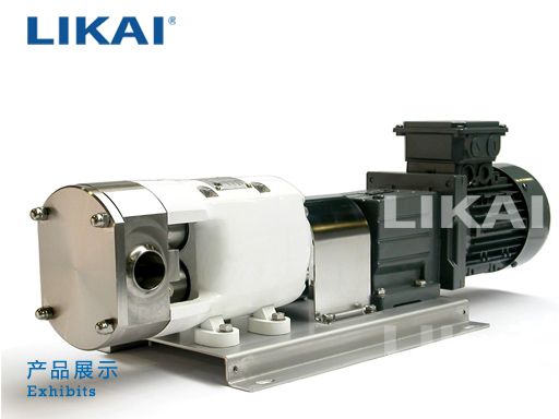 LQ系列轉(zhuǎn)子泵